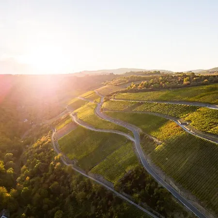 Wesel - Dein Am Rhein